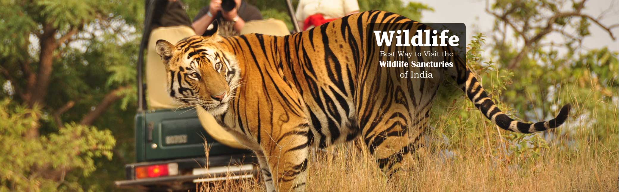 Wildlife Tours - Ezee Holiday