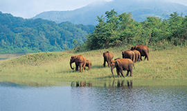 Periyar, Kerala