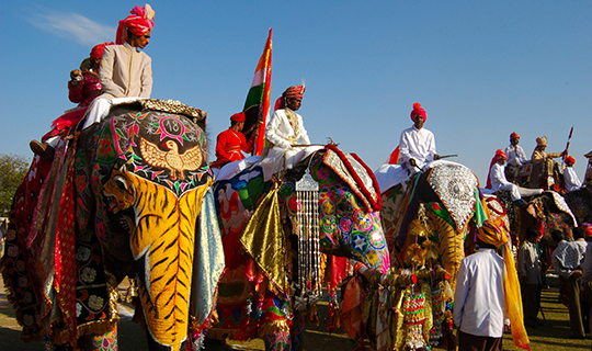 Elephant Festival, Rajasthan