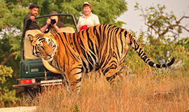 Ranthambore National Park